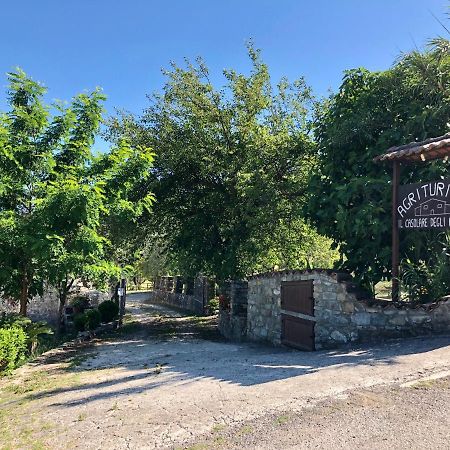 Il Casolare Degli Alburni Villa Castelcivita Eksteriør billede